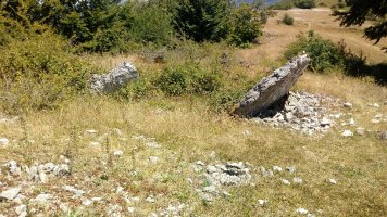 San Juan trikuharria