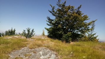 Basasakan (1033m) tontorra