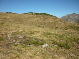 2. harrespila