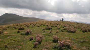 Gaztarri-Mulidoi (1732m) tontorraldea, Otsogorrigaña atzean