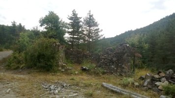 Aranako borda zaharra