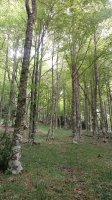 Menditxusia (1338m) pagadian gora