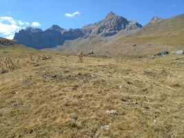 la balsera sur