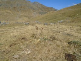 la balsera sur