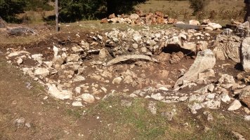 Legaire H trikuharria