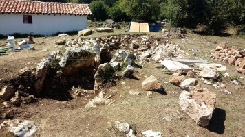 Legaire H trikuharria