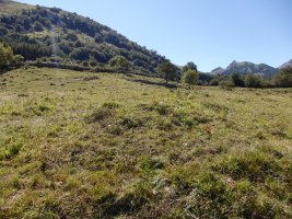 LARRONDO campo tumular