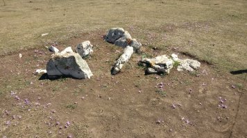 Legaire I trikuharria