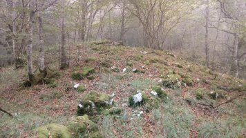 Ziñeko Gurutze trikuharria