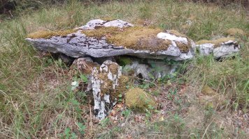 Seakoain II trikuharria