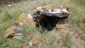 Seakoain II trikuharria (2020)