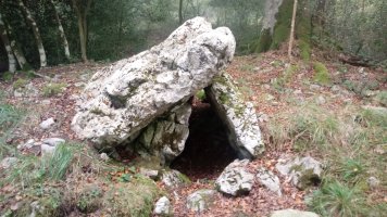 Seakoain I trikuharria