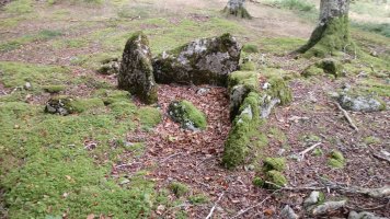 Zubarrieta trikuharria (2020)