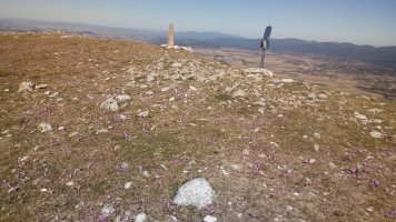 Surbe (1155m) tontorra