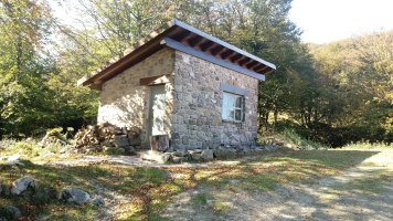 Artzain borda Ireber ondoko lepoan