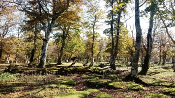 Zurlotz (1224m) gaina