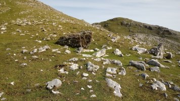 Ganboa Txiki I trikuharria (2020)