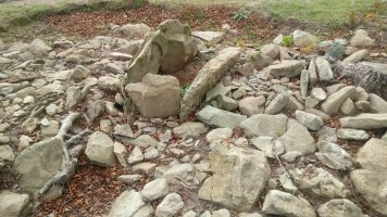 Frantsesbaso trikuharria