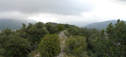 Zapardiko galiurra