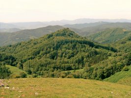 Mendikute
