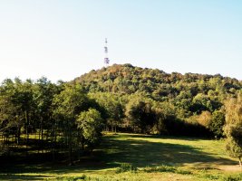 Txoritokieta