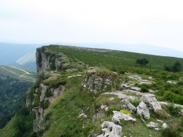 Ekialdeko gandorra