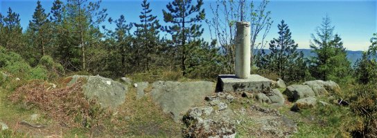 Tontorra