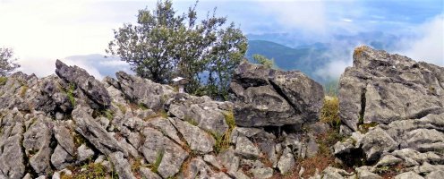 Tontorra