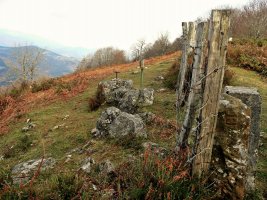Tontorra
