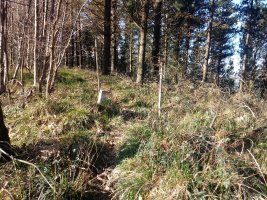 Illargaina (640m) tontorra