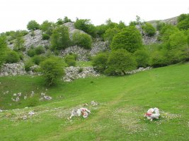 Marka zurigorriak Guardetxeko bidea