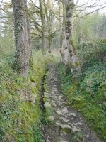 San Martin aldera abiatzen den PR bidea