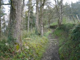 San Martin aldera abiatzen den PR bidea