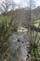 Agauntza erreka Ergoiena parean