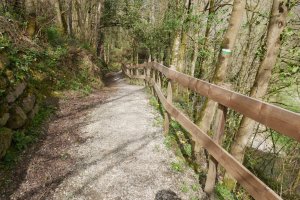 Agauntza errekaren bazterreko oinezko bidea Ergoiena aldean