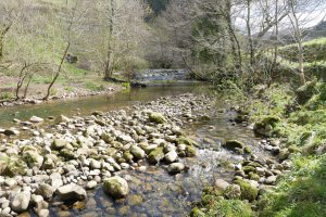 Agauntza erreka bide bazterrean