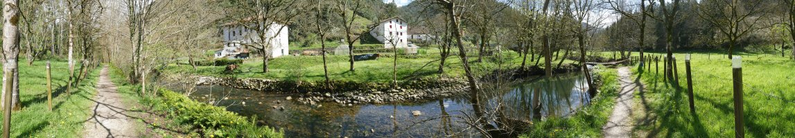 Ergoiena eta San Gregorio arteko bidea