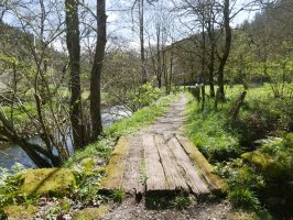 Ergoiena eta San Gregorio arteko bidea