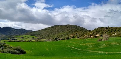 Berros gaina
