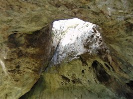 Koba Haundi