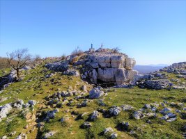 Tontorra