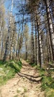 Otsabio (801m) Altzotiko igoera bidean