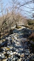 Otsabio eta Laparmendi arteko gandorra