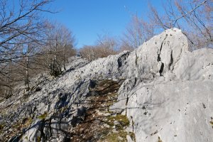 Bizkarreko bidea