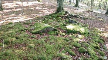 Atxuko aldai trikuharria