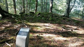 Atxuko aldai trikuharria