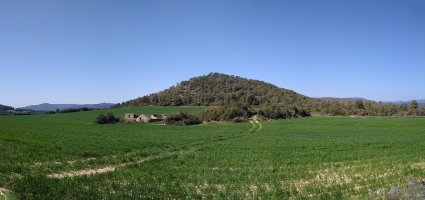 Pan de Oliva