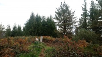 Krabeliñaitz (607m) tontorra