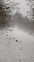 Oregi (924m) bizkar elurtua