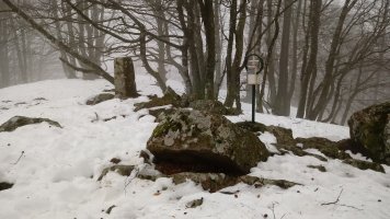 Oregi (924m) tontorra